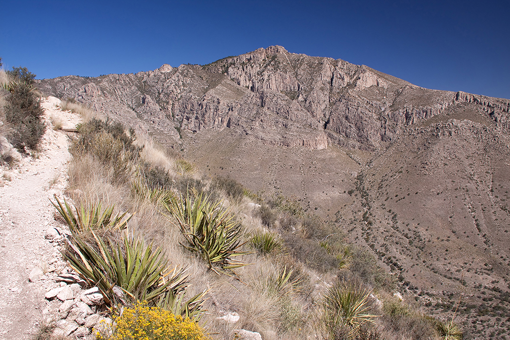 25_Guadalupe National Park_03.jpg